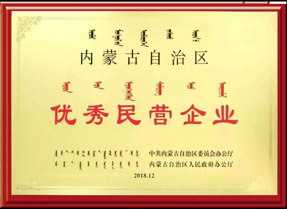 自治區(qū)優(yōu)秀民營(yíng)企業(yè)